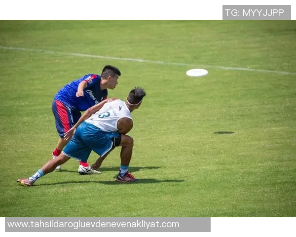 西安飞盘队实力强劲荣登全国飞盘实力排行榜第四名