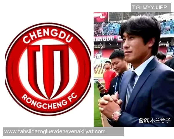 中超冠军荣耀之路：回顾赛季精彩瞬间与未来展望