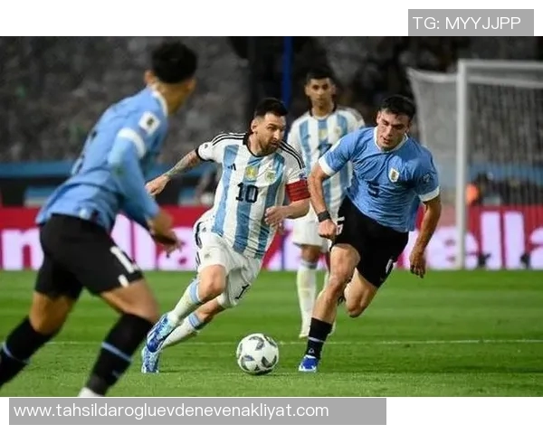 巴西足球甲级联赛：荣耀与挑战并存的南美足坛巅峰对决