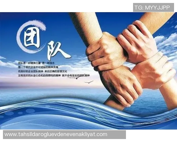 上海乒乓球队大满贯赛事中的团队协作与默契表现分析