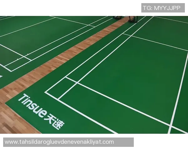 上海羽毛球队在世界锦标赛中的速度表现分析与点评